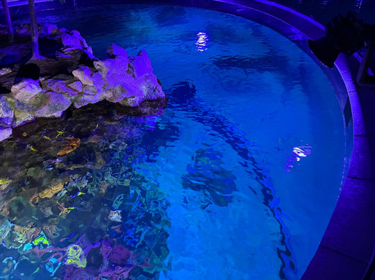 Poema Del Mar-大加那利岛拉斯帕尔马斯必去景点