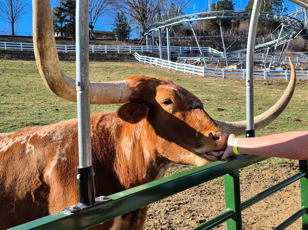 SkyLand Ranch-塞维尔维尔必去景点