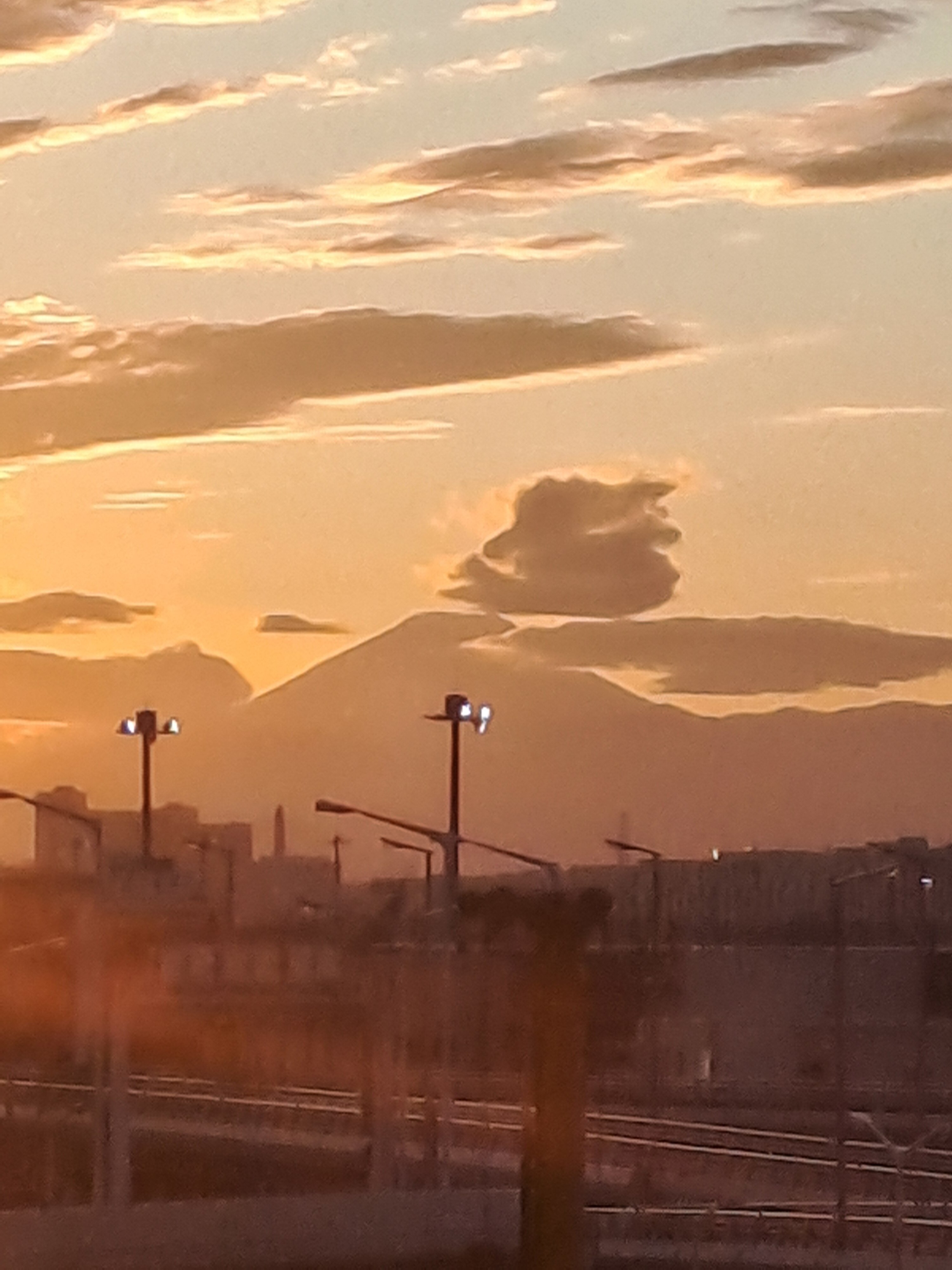 东急羽田卓越酒店-官方