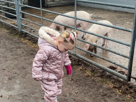 Willow Tree Family Farm-Shirebrook必去景点