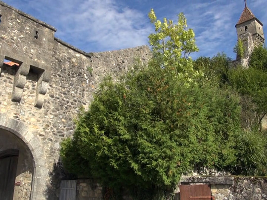 Tour de la Trahison-Estavayer-le-Lac必去景点