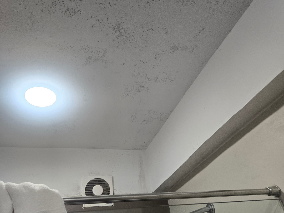 格兰德蒙纳广场酒店主图