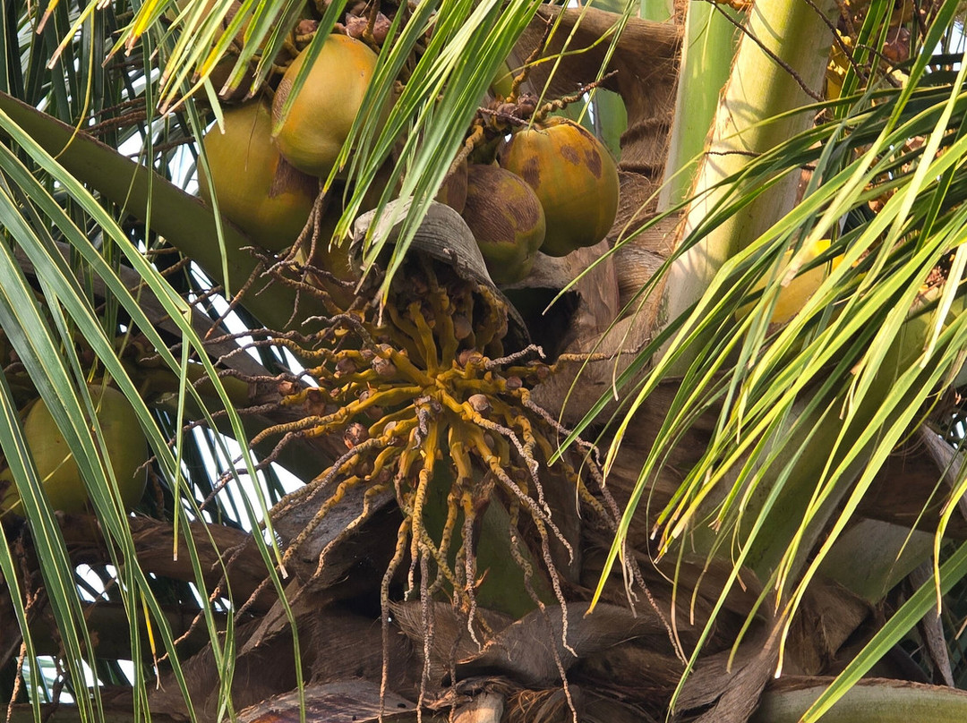 Catchmytrip-Greater Noida必去景点