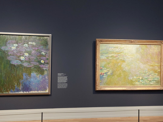 Museum Barberini-波茨坦必去景点