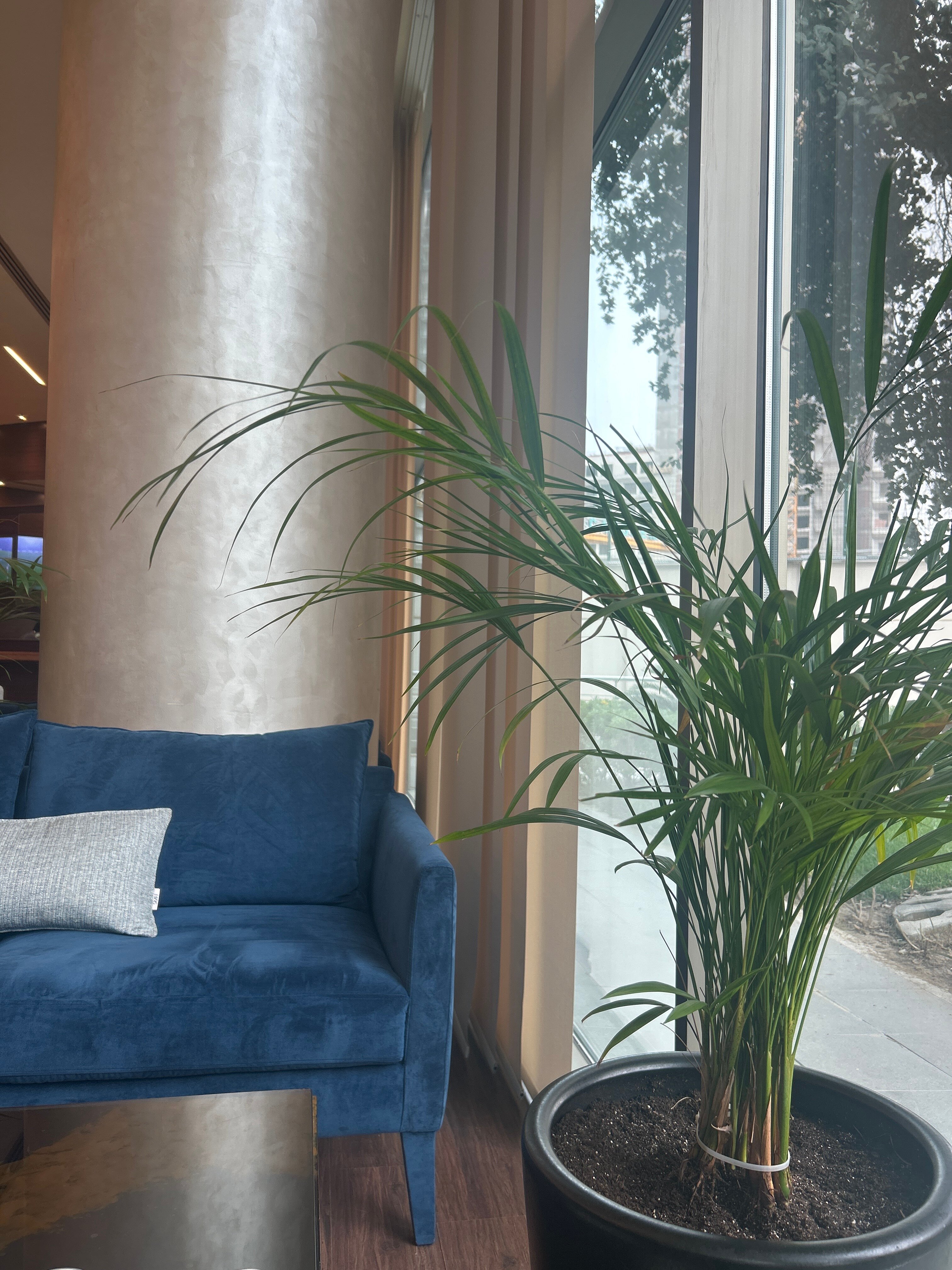 埃尔比勒罗塔纳酒店-官方