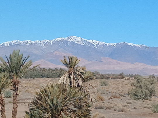 Skoura Oasis Tour Guide-Skoura必去景点