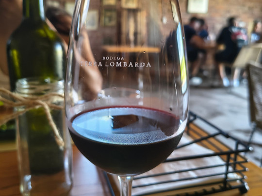 Bodega Terra Lombarda-圣拉斐尔必去景点