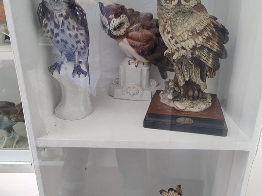 Museu De Porcelana De Petrópolis-彼得罗波利斯必去景点