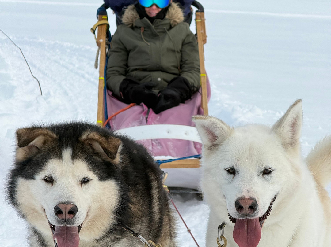 La Reine et le Millionnaire-Baie-St-Paul必去景点