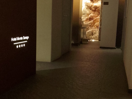 蒙特萨拉戈酒店主图