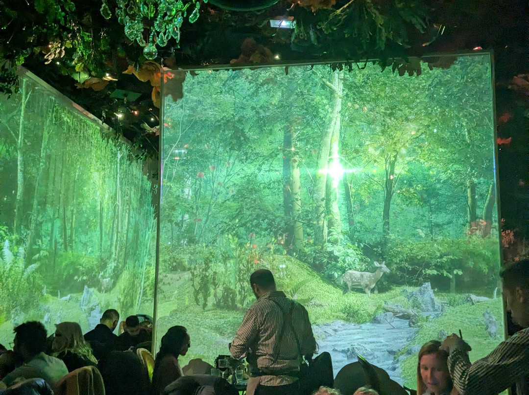 Wonderwoods by Ephemera - Val d'Europe