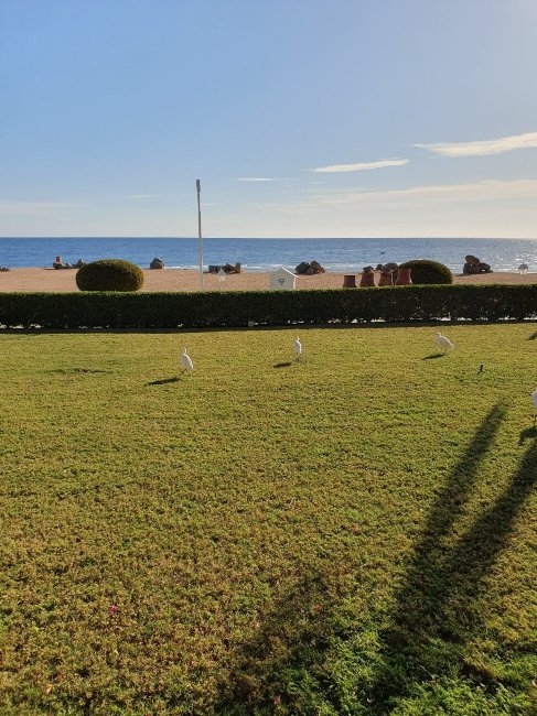 TUI MAGIC LIFE Kalawy-官方