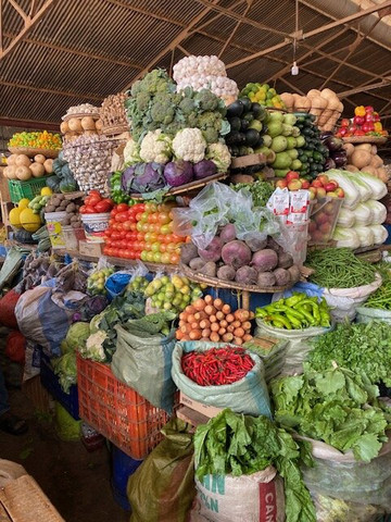 Otto Safari Guide Tanzania-Kibaha必去景点