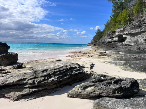 百慕大可可礁酒店主图