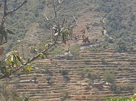 Awaze Tours-亚的斯亚贝巴必去景点