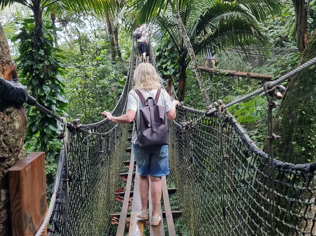 Blue Pearl-瓜德罗普岛必去景点