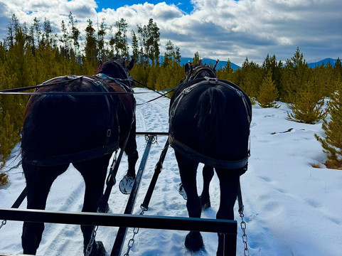 Dashing Thru The Snow-Fraser必去景点