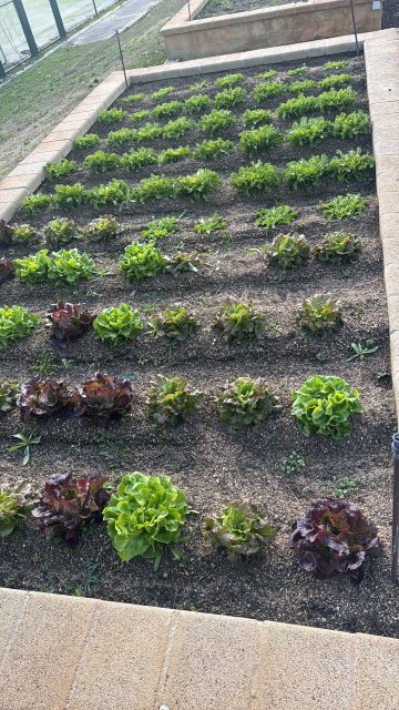 马斯索拉酒店-官方