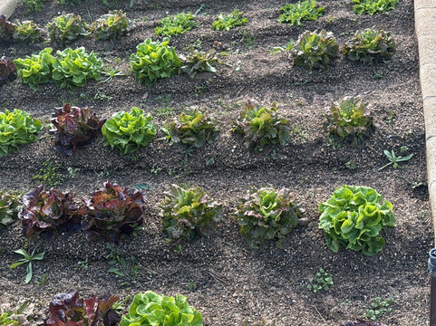 马斯索拉酒店主图