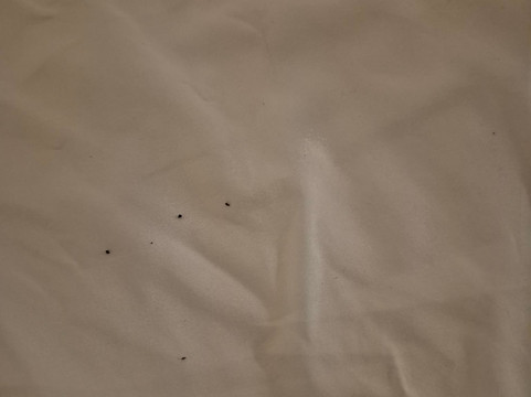 Quality Inn - Moncton主图