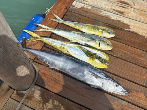 Mystic Amara III - Deep Sea & Bottom Fishing Charters-Jolly Harbour必去景点