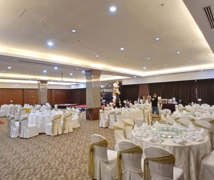 莎亚南凯煌大酒店主图