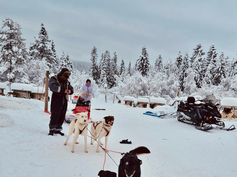 Mountain King's Sledehundkennel-特吕西尔市必去景点