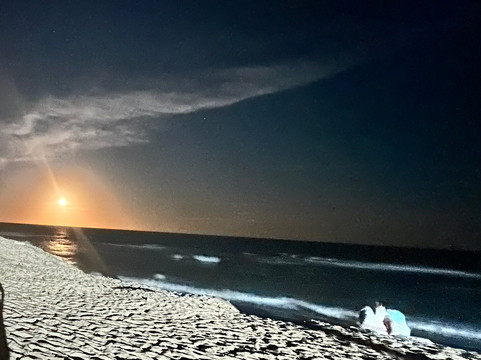 Praia de Baixio-Praia do Baixio必去景点