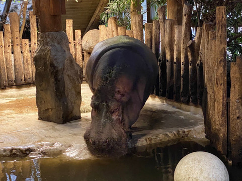 Zoo Karlsruhe-卡尔斯鲁厄必去景点