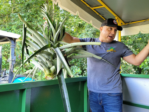 The Best Pineapple Tour Costa Rica-Rio Cuarto必去景点