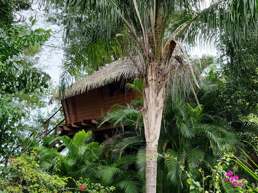 Habitation Getz主图