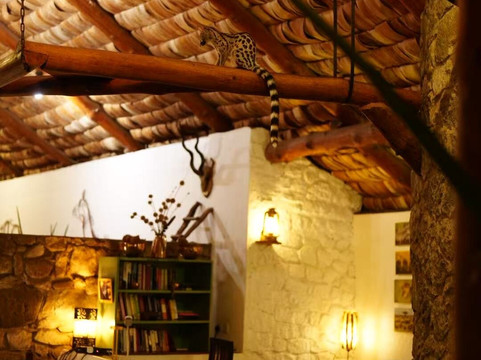 Sino Africa Safari-内罗毕必去景点