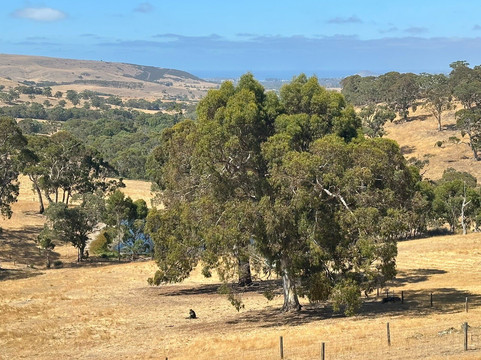 Seascape Retreat主图