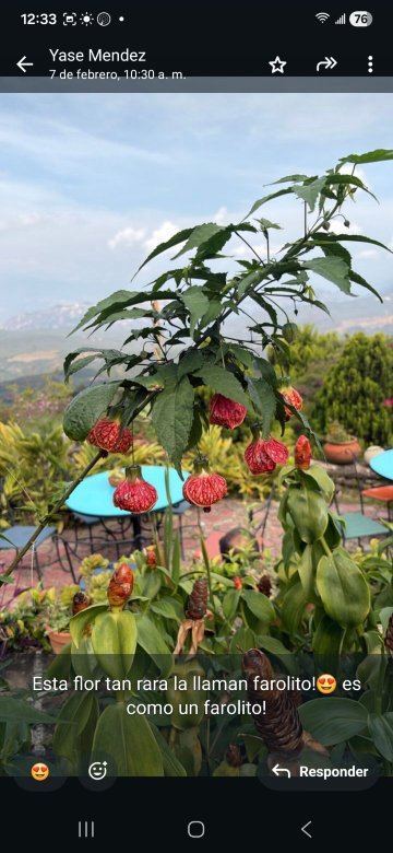 Posada El Encanto-浴室