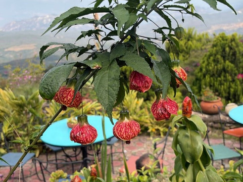 Posada El Encanto主图