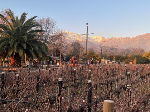 Alyan Family Wines-Pirque必去景点