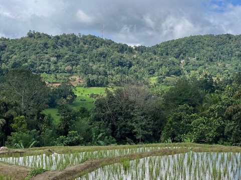 Sri Lanka Trekking-康提必去景点