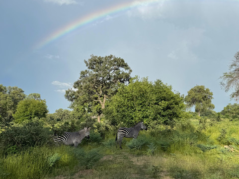 Zamsato - Zambia Safaris & Adventours-李文斯顿必去景点