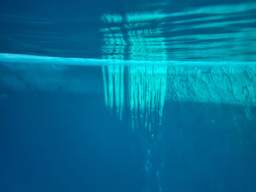 YucatanCenote .com Eco-Adventures-Progreso必去景点