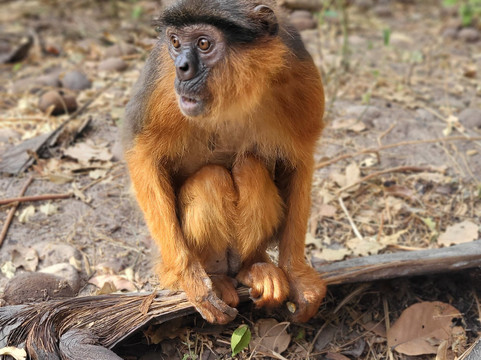 Yerim Tours Senegal-莫布瓦必去景点
