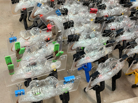 Whetstone Chocolates Tasting Tour-圣奥古斯丁必去景点