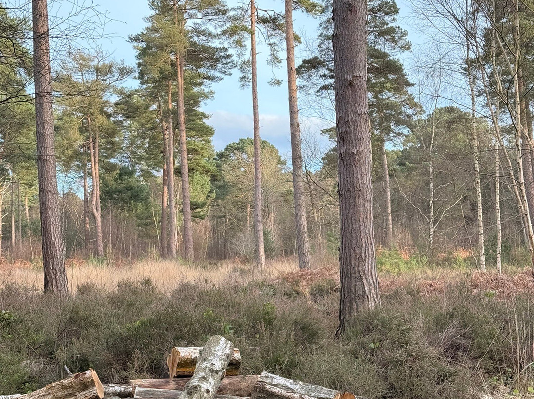 Englemere Pond-Ascot必去景点
