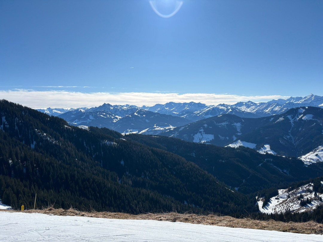 达斯古鲁恩霍兹公寓酒店主图