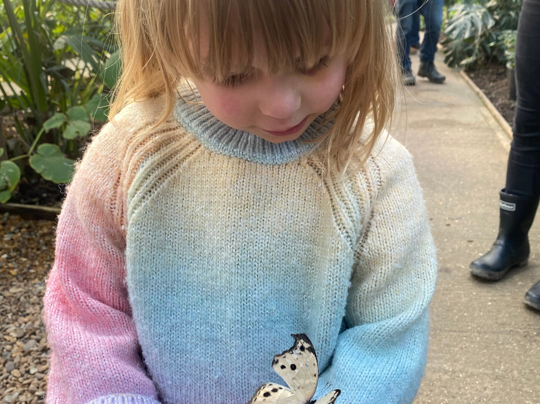 Butterfly Gardens @ Middleton Common Farm-Westmeston必去景点