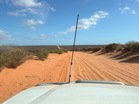 Wildsights-德纳姆必去景点