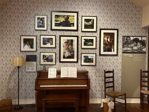 Mississippi Arts + Entertainment Experience-Meridian必去景点