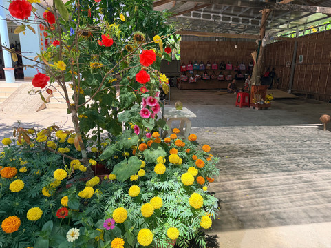 Mekong Delta Tour-Ben Tre必去景点