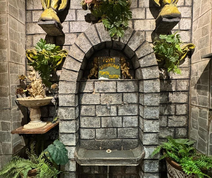 Disneylandia dos Robos-塞拉内格拉必去景点