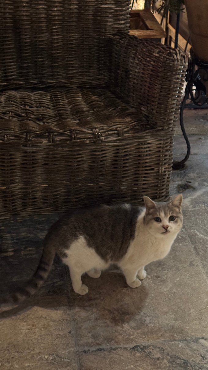 切勒比洞穴酒店-官方