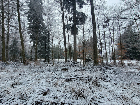 Abenteuerwald Sommerberg-Bad Wildbad必去景点